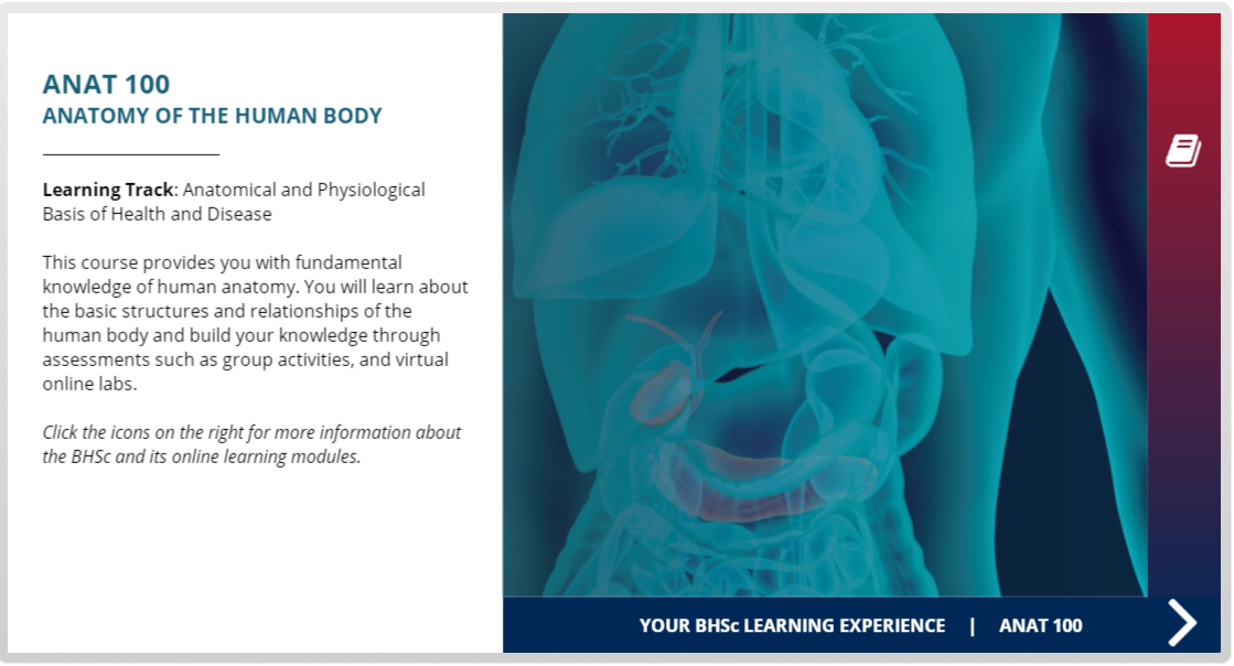 Explore ANAT 100 Anatomy of the Human Body